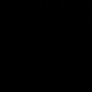 Meet your Posher, Diego